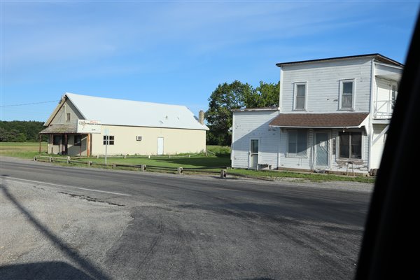 Brant - Brant 6-15-2021 (newer photo)